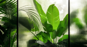 Fechamento de Varanda em Vidro em Manaus - Sustentabilidade na Construção